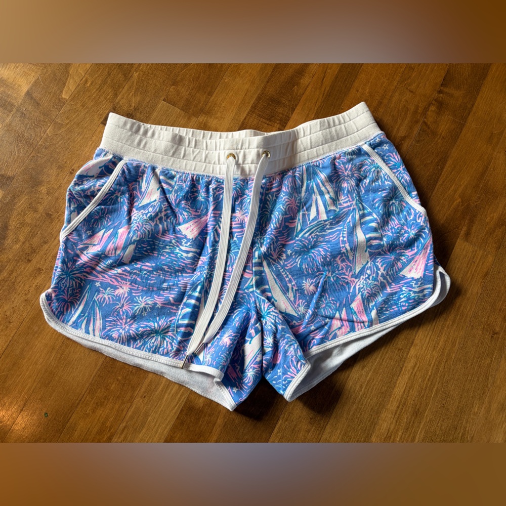Lilly Pulitzer Light Blue and Pink Garment